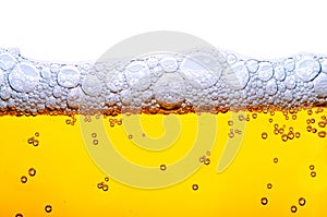 Yellow beer with foam