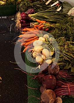 Yellow beets, orange carrots and red onions