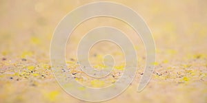 Yellow and beige background with thin focal part and defocus lights. Abstract background