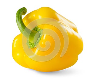 Yellow bell pepper photo