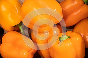 Yellow bell pepper at a farmers market.