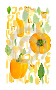 Yellow Bell Pepper Slice and Leaf Abstract