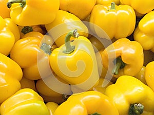 yellow bell pepper or sweet pepper