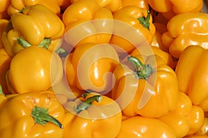 Yellow bell peppers photo