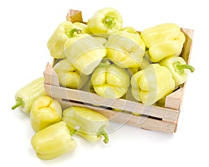 Yellow bell peppers (Capsicum annuum)