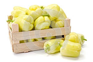 Yellow bell peppers (Capsicum annuum)