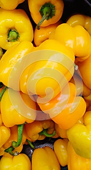 Yellow bell peppers, texture background