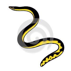 Yellow bellied seasnake Aussie fauna color vector character