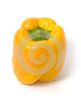 Yellow bellpepper isolated photo
