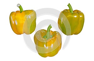 Yellow bells pepper isolated