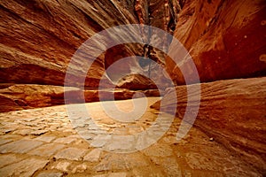 The yellow bent narrow canyon in mountains of Jordan