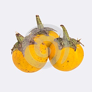 Yellow berried nightshade