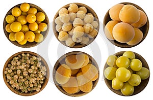 Yellow berries isolated on white background. White currants, yellow raspberries, apricots, yellow plums and dired apricots.