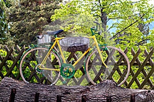 Yellow bicycle on green trees background