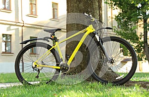 Yellow bicycle parked near tree on street