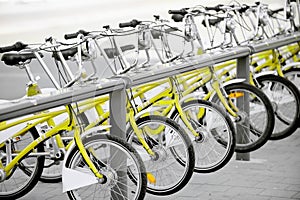 Yellow bicycles for public transport