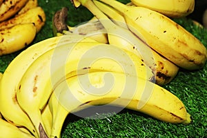 Yellow big banana fruits close up image
