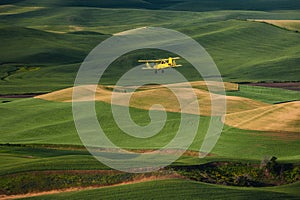 Yellow Biplane Crop Duster Flying Over Farmlands.