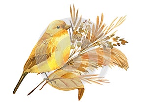 Yellow bird and autumn flowers, dry herbs, canary watercolor drawing, boho illustration