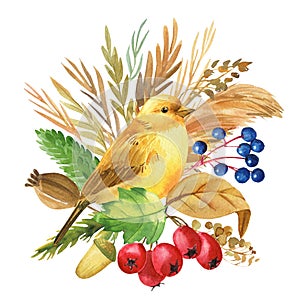 Yellow bird and autumn flowers, dry herbs, canary watercolor drawing, boho illustration