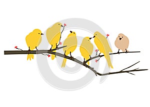 Yellow Bird Decal artwork