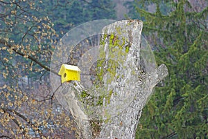 Yellow bird house on a trunk