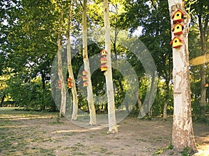 Yellow bird houses