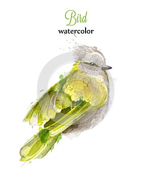 Yellow bird Watercolor Vector. Colorful painted style illustrations