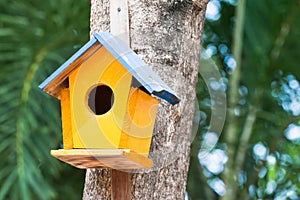 Yellow birdhouse