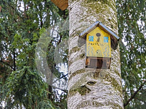 Yellow Birdhouse on a birch tree. Bird life care. Species preservation.