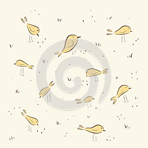 Yellow birds peck grains. cute birds. photo