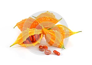 Yellow bittermelon on white background