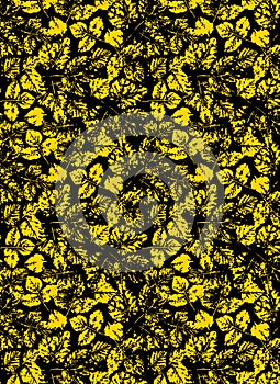 Yellow and black colure flower