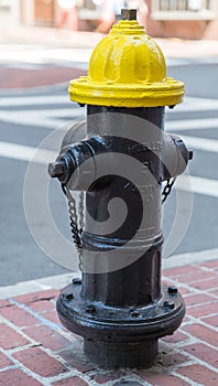 Yellow and Black Fire Hydrant in Boston MA