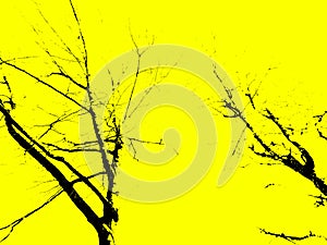 Yellow black nature forest trees foliage texture decorative background plant silhouette