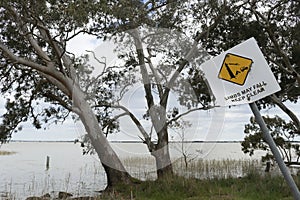 Yellow, black and white Limbs May Fall, Keep Clear warning sign under trees at a campsite