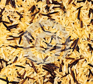 Yellow and black wild rice blend