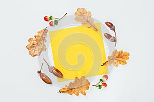 Yellow blank frame and oak leaves and acorns on white background. Autumn mockup. Minimal Autumn composition, fall concept. Flat