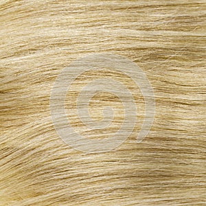 Yellow blonde healthy clip-in hair texture