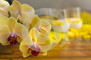 Yellow blooming orchids on the background of chia pudding or smoothie with mango puree