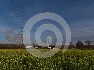 Yellow blooming rapeseed field in autumn with power line leading to nuclear power plant with steaming cooling tower.