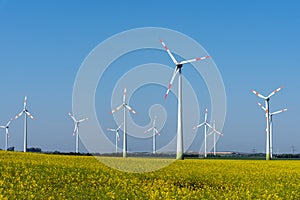 Yellow blossoming rapeseed and some wind energy plants