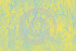 Yellow blue blurred abstract background with grass pattern