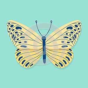 Yellow and blue butterfly. Top view. Spring inspiration. Vector illustration, flat design