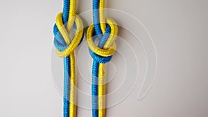 Yellow and blue colored ropes twisted and tied up creating knot, isolated on white background, close up shot. Group of