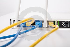 Yellow and Blue Ethernet Cables in Wireless Router