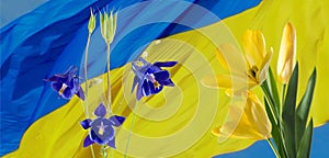 Yellow and blue flowers on the background of the Ukrainian flag