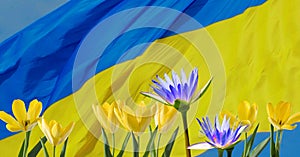 Yellow and blue flowers on the background of the Ukrainian flag