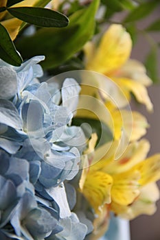 Yellow and blue flowers in close up