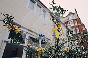 Yellow and blue ribbons on a tree in London, UK, in support of Ukraine